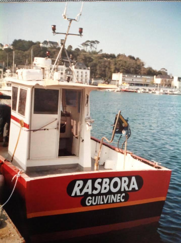Rasbora gv yannick le pavec